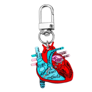 Colorful anatomical heart acrylic keychain with detailed medical labels and silver hook