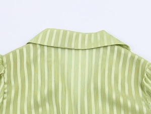 Detailed close-up of light green striped collar with shimmering gold thread accents