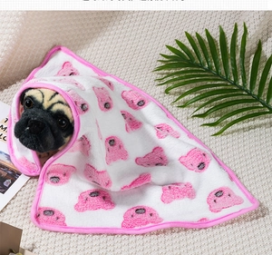 Detail of hooded pet blanket with bear pattern and soft pink edging on a pug dog