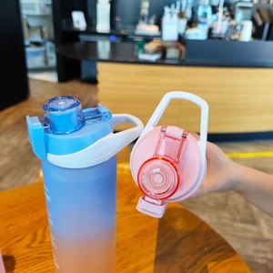 Gradient sports water bottle with flip top lid, portable handle and tea filter