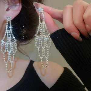 Detail of long sparkling rhinestone fringe drop earrings worn on a model's ear