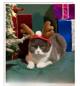 Detailed view of pet cat wearing plush reindeer antlers with festive Christmas tree background