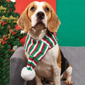 Close-up of a festive red and green striped knitted pet scarf with a white pompom detail