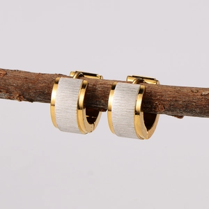 Minimalist wide brushed stainless steel hoop earrings on a natural branch