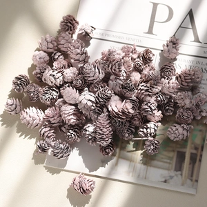 Pink purple natural pine cones for Christmas decoration and DIY wreaths on vintage newspaper