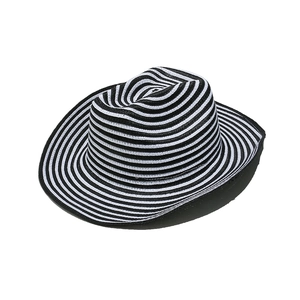 Close-up of woven straw texture and black and white striped pattern on summer jazz hat