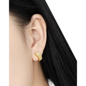 Chic gold-plated S925 sterling silver hoop earrings with pavé crystals and star motifs