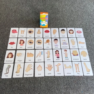 Flat lay view of 36 body parts educational flash cards for kids in 4x9 matrix arrangement