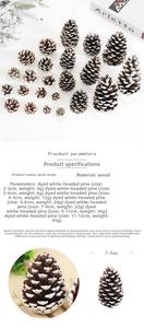 Détails macro de pommes de pin naturelles avec effet neige pour décorations de Noël DIY