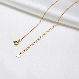 Detail of gold titanium necklace featuring spring ring clasp and heart tag on O-chain