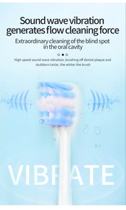 Detail of electric toothbrush head showing sonic vibration technology and soft bristles