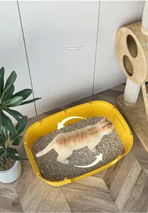 Spacious yellow open cat litter box with orange-white cat demonstrating the interior size
