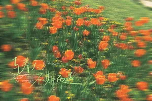 Detail of artistic tulip floral pattern background with spring garden vibes and vibrant colors