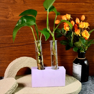 Vase hydroponique à base mauve avec tubes en verre pour la propagation de plantes d'intérieur