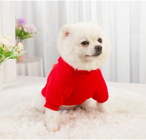 Red hooded dog sweatshirt with leash hole shown on a white Pomeranian dog