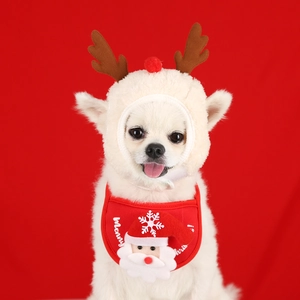 Detail of plush reindeer antler headband and Merry Christmas bib on a small white dog
