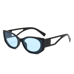 Retro Oval Sunglasses Women Men Vintage PC Frame AC Lens UV400 Protection Hollow Temples Punk Hip Hop Style Eyewear
