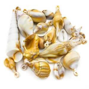Assorted acrylic conch and starfish charms in bicolor clouds for DIY jewelry making