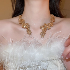 Exquisite necklace with champagne water-drop crystals on a model wearing feather dress