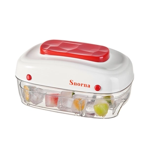 Manual press ice cube mold with large storage box and fruit-filled square cubes