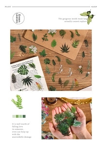 Close-up of vintage botanical leaf stickers with monstera and fern motifs for scrapbooking