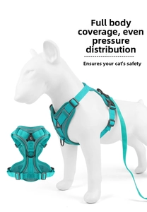 Detail of reflective cat harness with breathable mesh and sturdy metal D-ring attachment