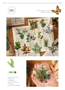 Detail of vintage PET stickers with realistic botanical leaf and flower illustrations