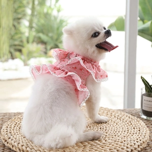 Detail of pink floral pet dress with lace edges and a metal D-ring for leash attachment