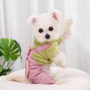 Mono cálido de felpa en rosa y verde para perros pequeños y gatos en invierno
