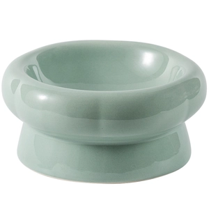 Elevated pale green ceramic pet bowl with stable base and glossy finish for cats and dogs