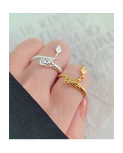 Detailed macro view of gold and silver dragon rings with intricate scale textures