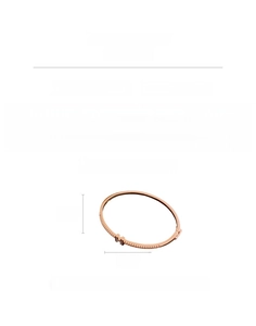 Detail view of gold-plated bangle with H-letter clasp, cubic zirconia and mother of pearl