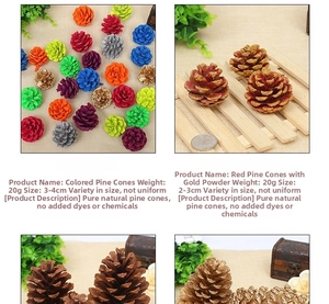 Detail of natural pine cones for DIY crafts featuring various colors and 2-4cm sizes