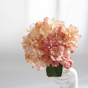 Macro shot of artificial hydrangea with burnt edges in pink and orange gradient petals