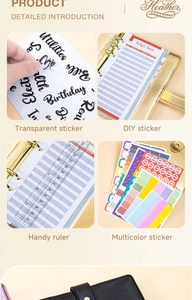 Detail of budget planner kit with gold binder, functional stickers, and clear ruler scale