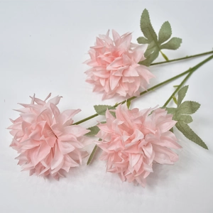 Macro view of pink silk pompon chrysanthemum with detailed petals and green leaves