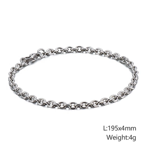 Dettaglio del bracciale a catena rolo in acciaio inossidabile argento, 195mm x 4mm