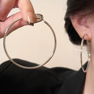 Minimalist Metal Hoop Earrings For Women With Silver Earring Post Geometric Rhinestone Chic Jewelry Accessories