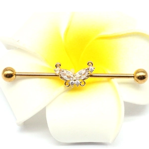 Macro detail of golden industrial barbell with butterfly charm on frangipani flower