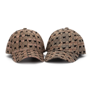 Detail of plaid baseball cap with bow print pattern and fine fabric texture on white background