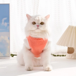 Détail d'un gilet chaud en polaire orange corail pour chat blanc dans un cadre douillet
