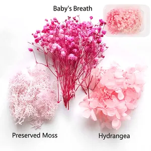 Set di Fiori Secchi Naturali Misti Kit di Materiali Floreali Fatti a Mano DIY per Gioielli in Resina Candele Decorazione Casa