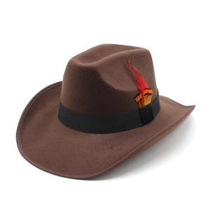 Brown wool felt wide brim fedora hat with black band and vibrant feather decoration
