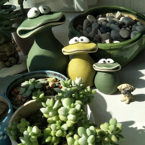 Charming group of colorful ceramic frog figurines and a small dog among garden succulents
