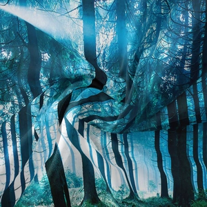Dettaglio di arazzo forestale bohémien che mostra texture leggera e stampa foresta blu