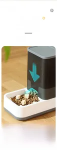 Detail view of 45-degree gravity feeding system for pet kibble under 16mm