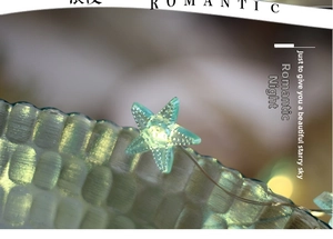 Macro view of blue starfish LED string light with warm glowing dots and textured surface