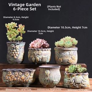 Detailed relief flower patterns on rustic ceramic succulent pots with vintage finish