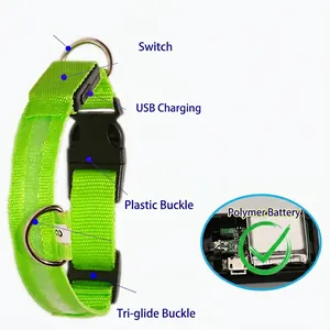 Collier lumineux LED vert pour chien avec chargement USB et sangle en nylon robuste
