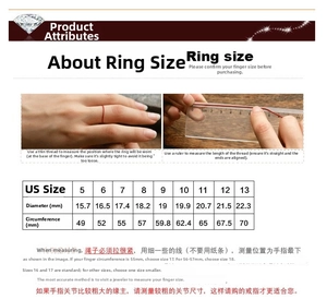 Detailed ring size guide for titanium steel rings showing US size, diameter, and circumference